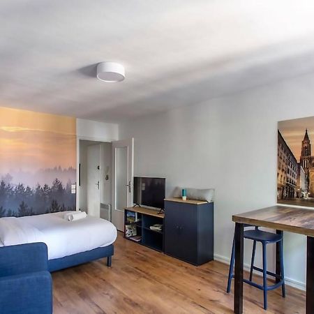 Le 52 Zix - Joli Studio Au Coeur De La Petite France Strazburg Dış mekan fotoğraf