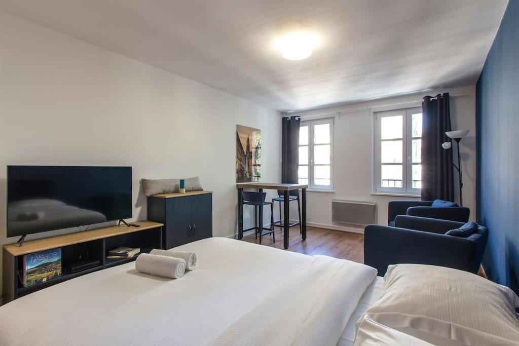 Le 52 Zix - Joli Studio Au Coeur De La Petite France Strazburg Dış mekan fotoğraf