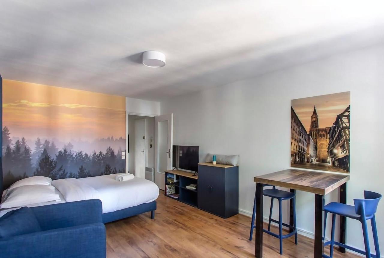 Le 52 Zix - Joli Studio Au Coeur De La Petite France Strazburg Dış mekan fotoğraf